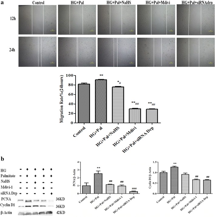 Fig. 11