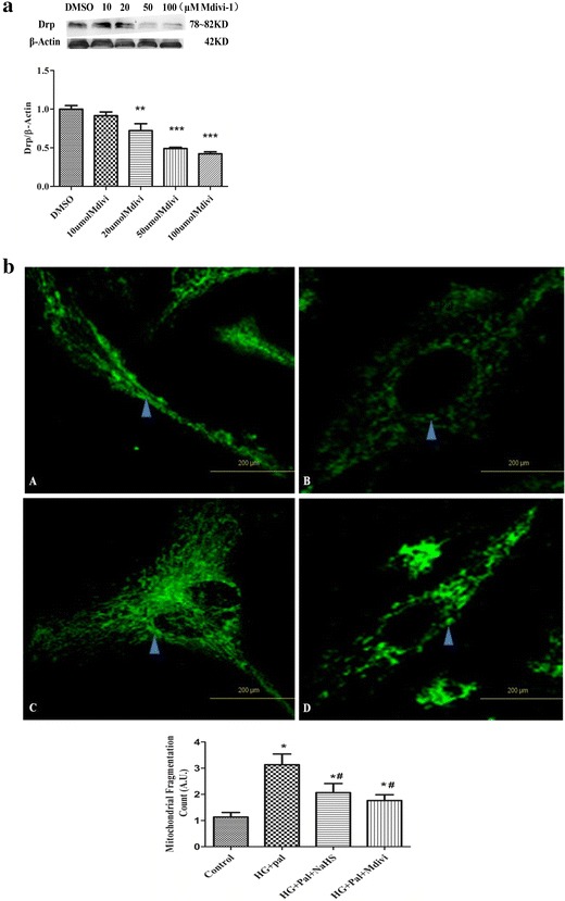 Fig. 9