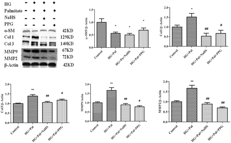 Fig. 6