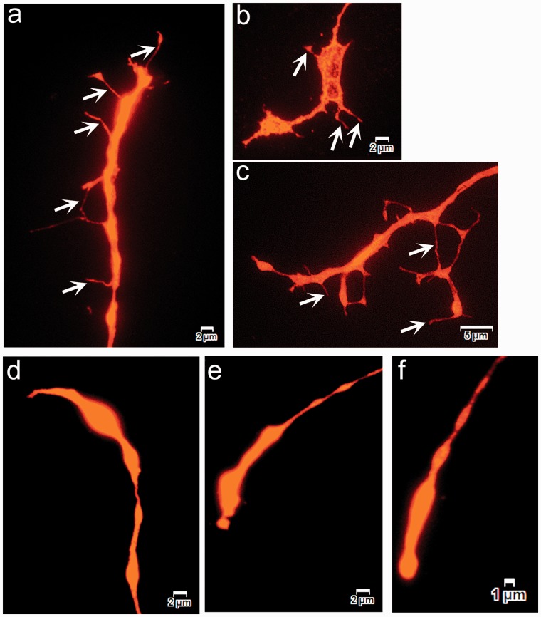 Figure 2.