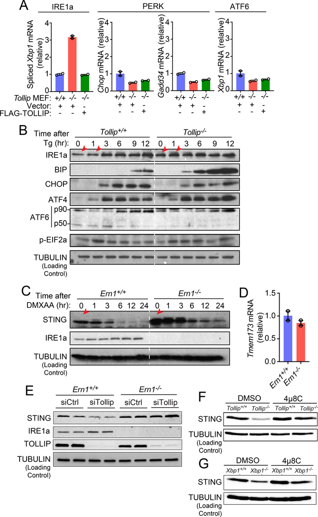 Figure 6: