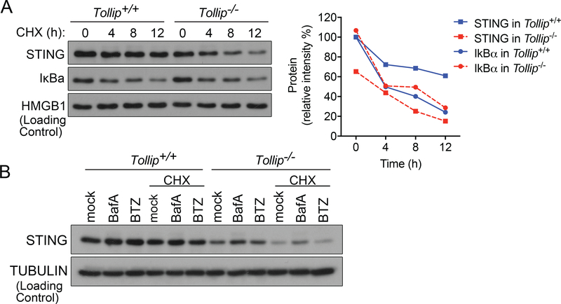 Figure 5: