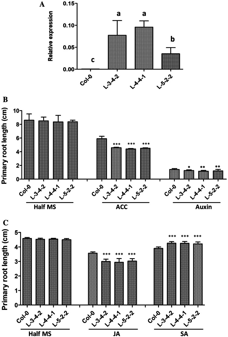 Fig. 3