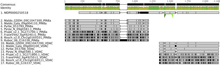 Figure 7