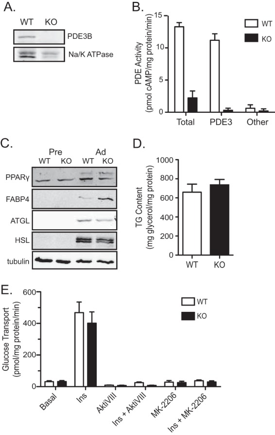 FIG 2