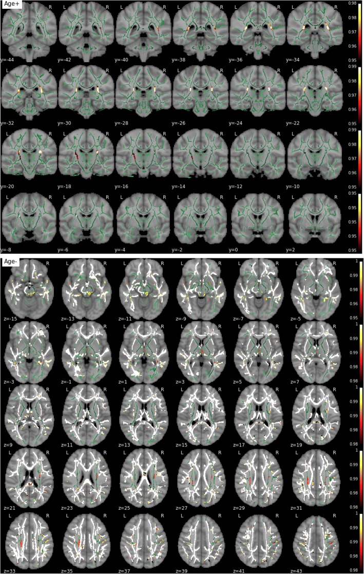 Fig. 7