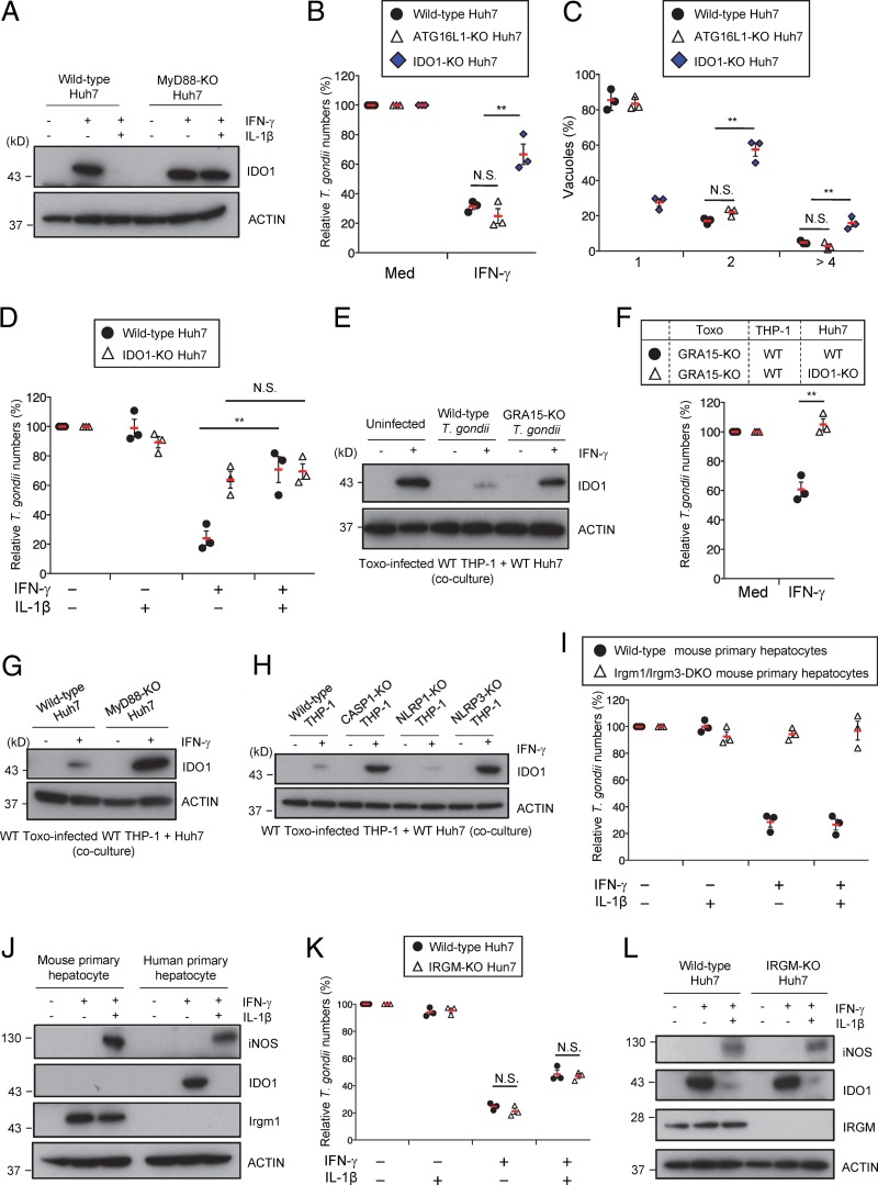 FIG 4