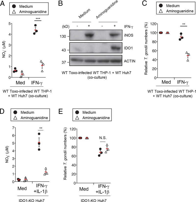 FIG 6