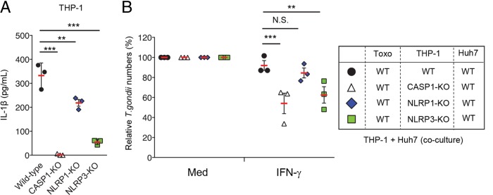 FIG 3