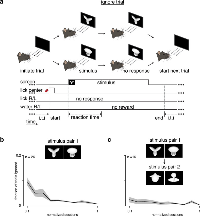 Figure 1—figure supplement 2.