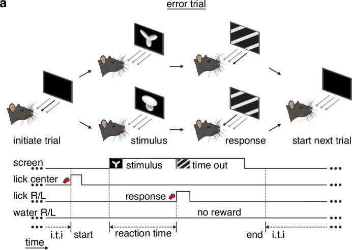 Figure 1—figure supplement 1.