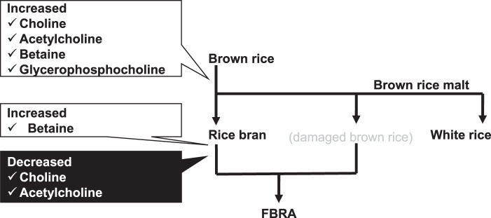 Fig. 3. Summary of fermentation effect on the content of choline-containing compounds in rice ingredients. FBRA, fermented brown rice and rice bran with Aspergillus oryzae.