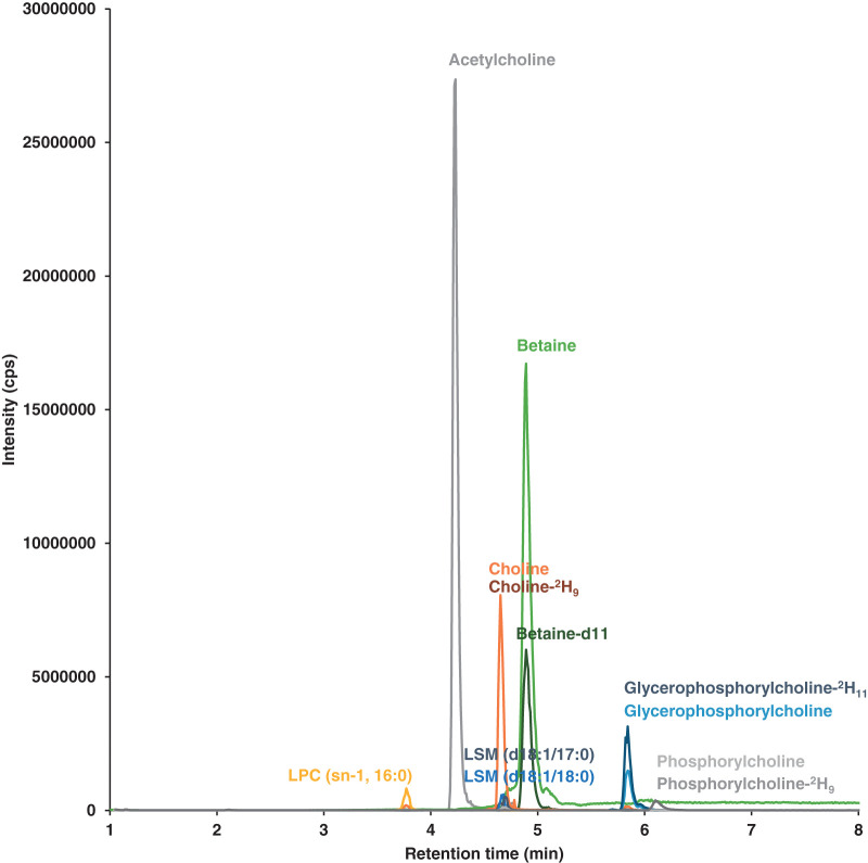 Fig. 2. Optimized SRM chromatograms of all compounds. SRM, selected reaction monitoring.