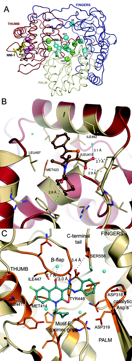 FIG. 1.