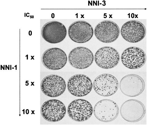 FIG. 2.