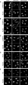 Fig 9