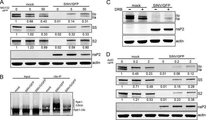 Fig 8