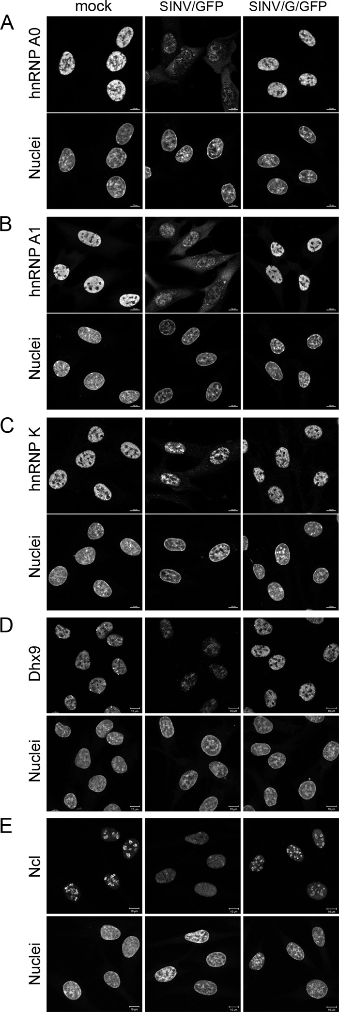 Fig 9