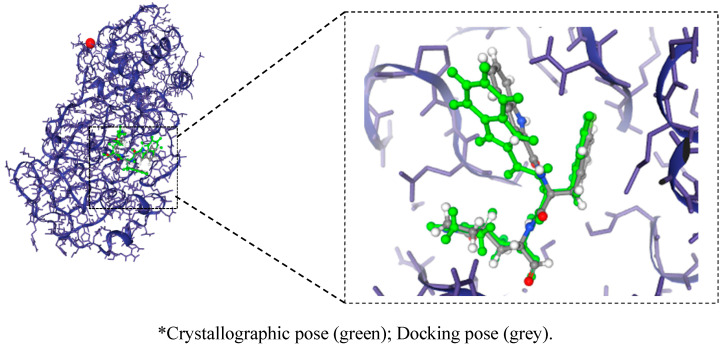 Figure 9