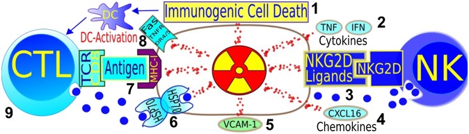 Figure 7.