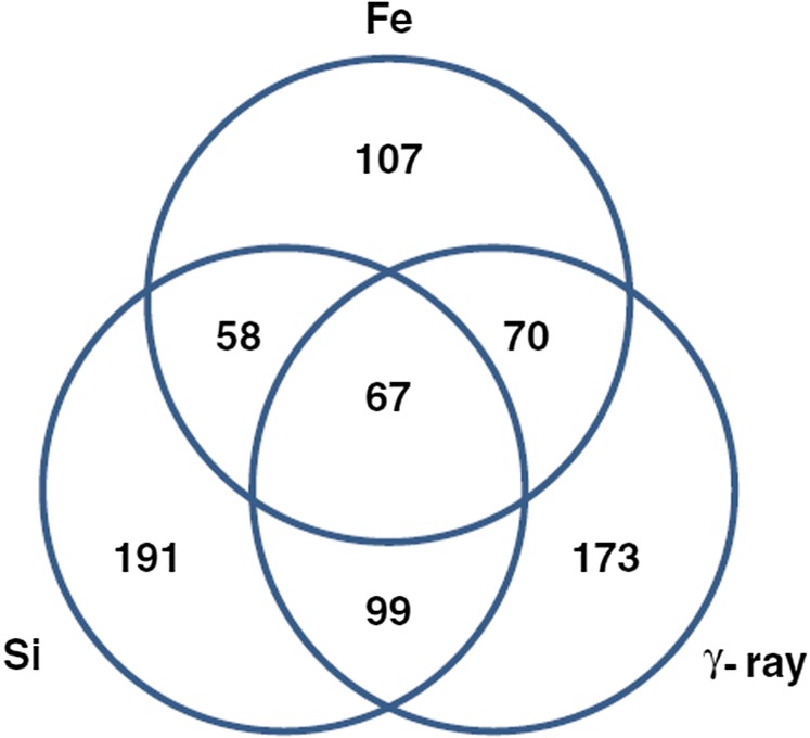 Figure 9.