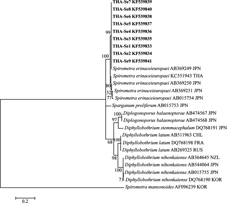 Figure 2.