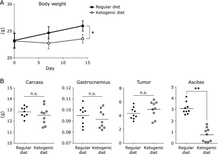 Fig. 2