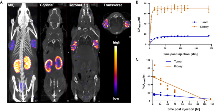 Figure 3