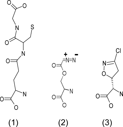 FIGURE 1.