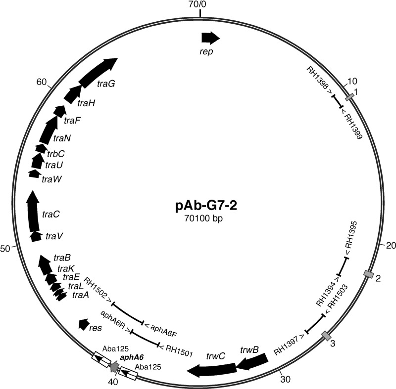 Figure 1.