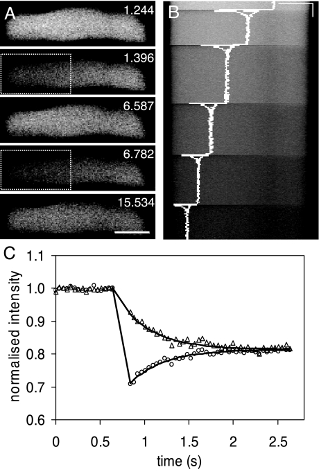 FIG.4.