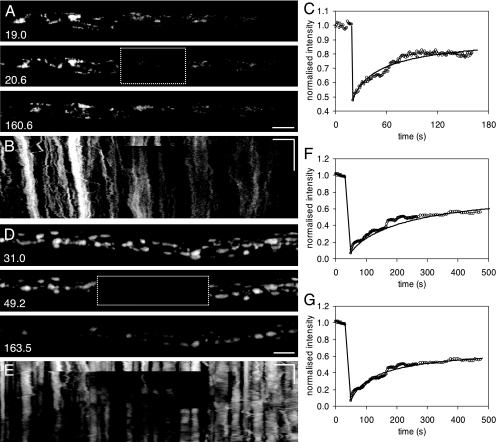 FIG. 7.