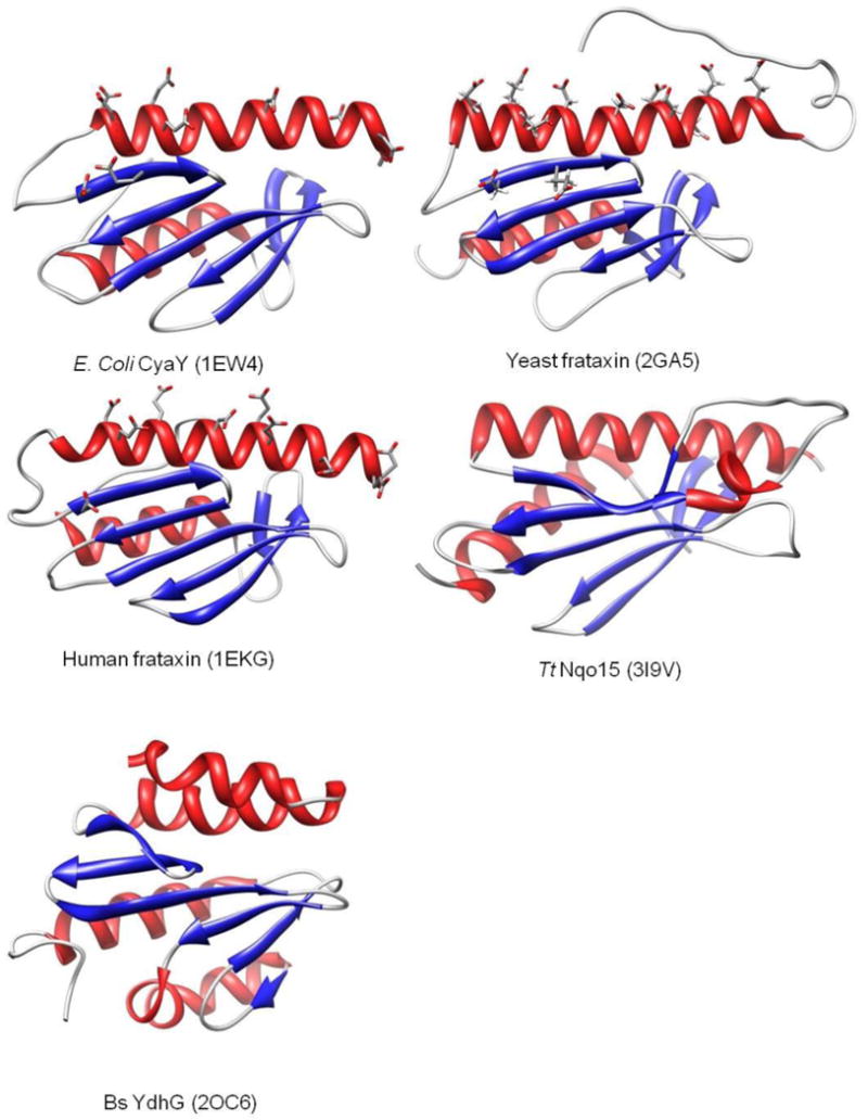 Figure 8