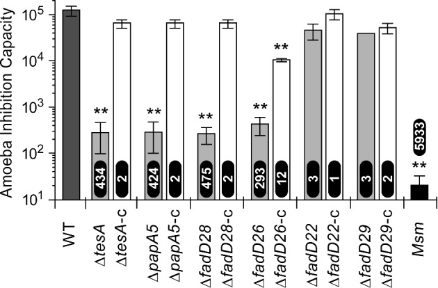 Figure 5.