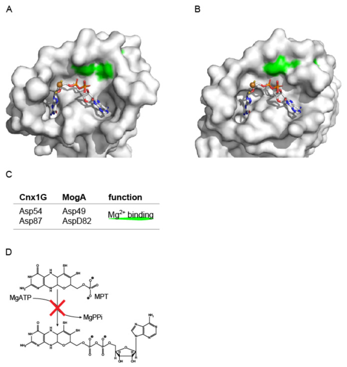 Figure 7