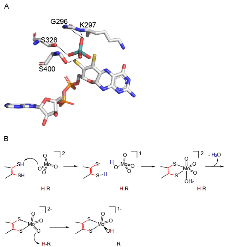 Figure 9