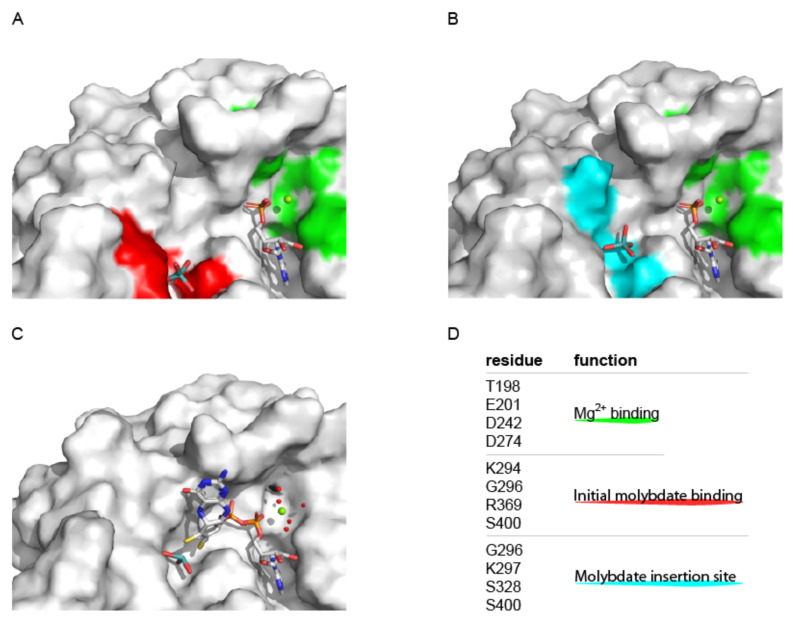 Figure 6