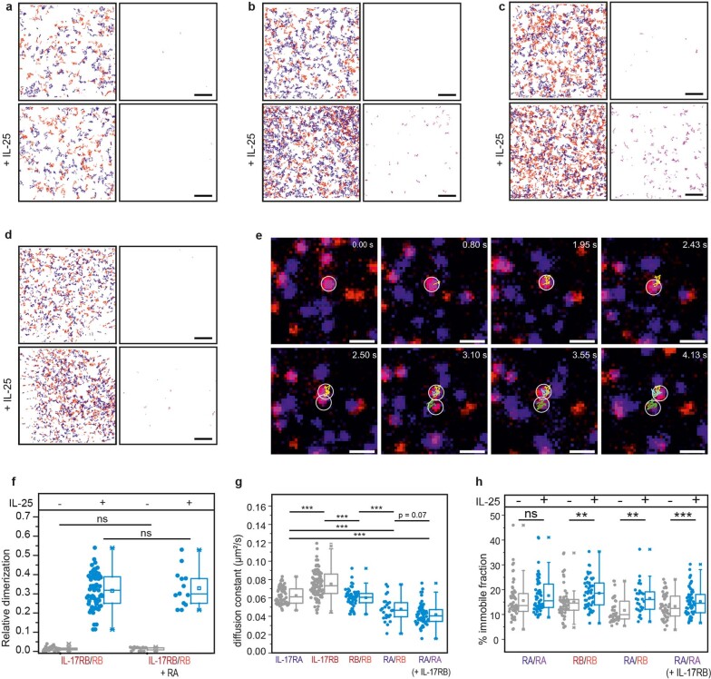 Extended Data Fig. 5