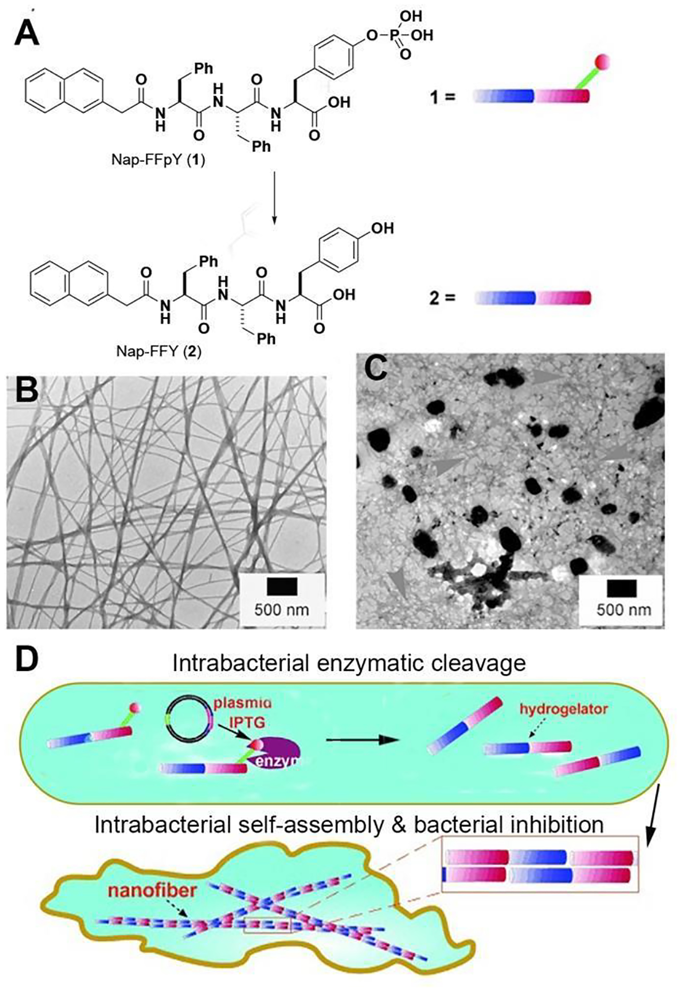 Figure 2.