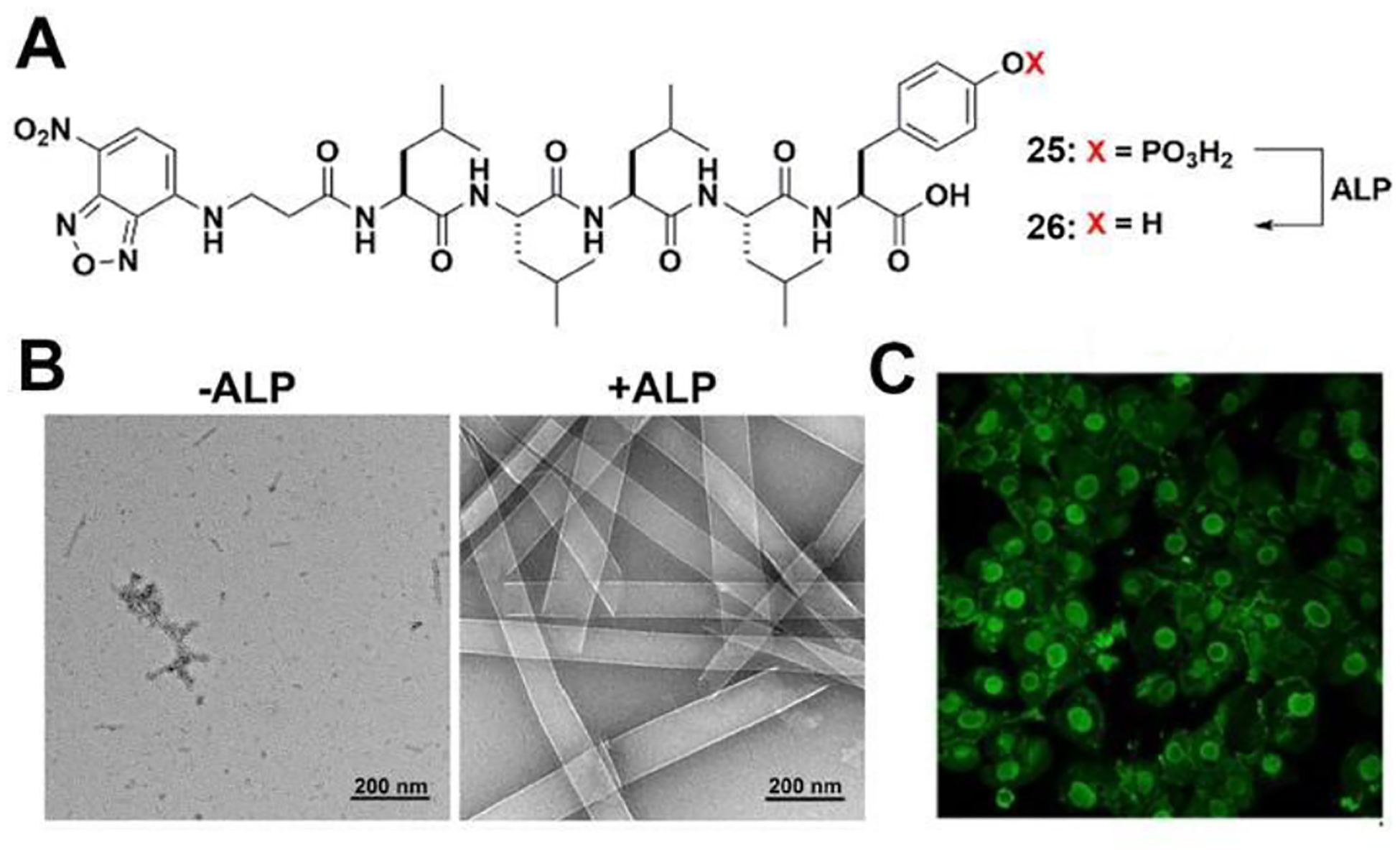 Figure 10.