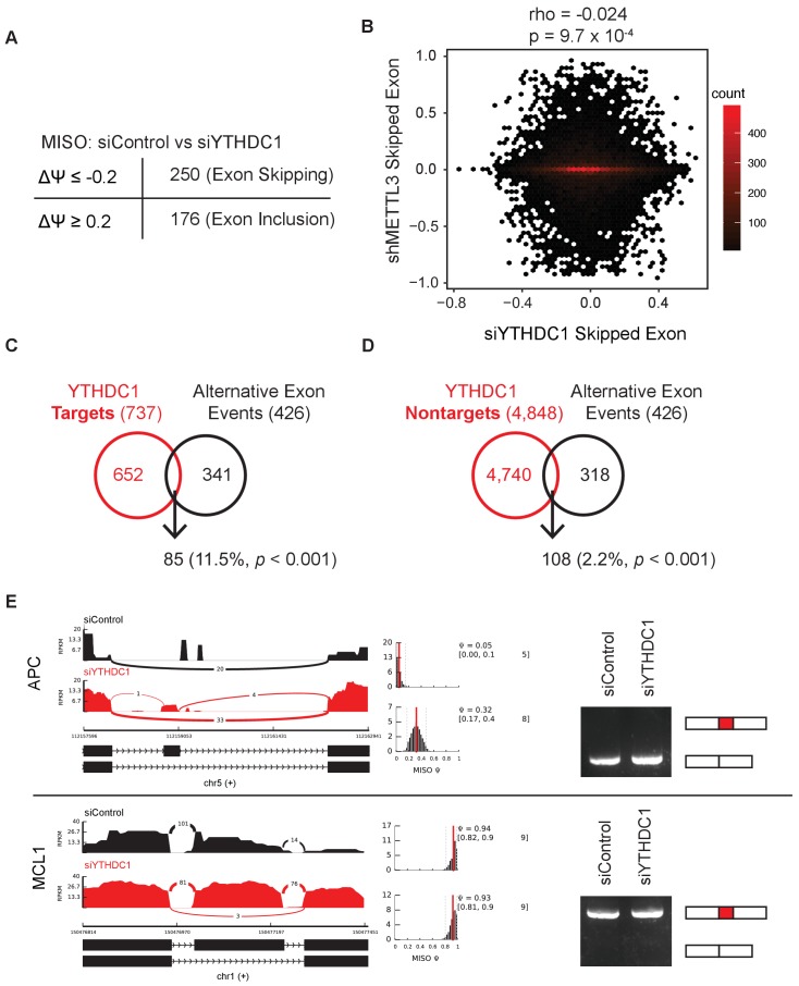 Figure 4—figure supplement 2.