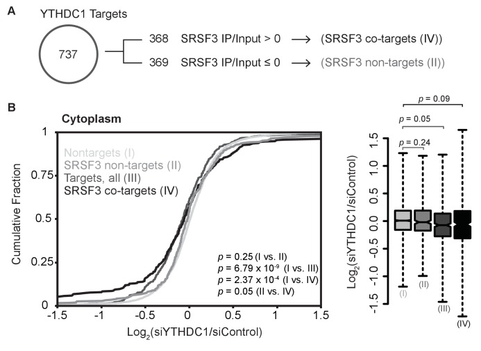 Figure 7—figure supplement 1.