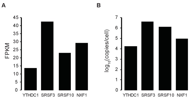 Figure 5—figure supplement 3.