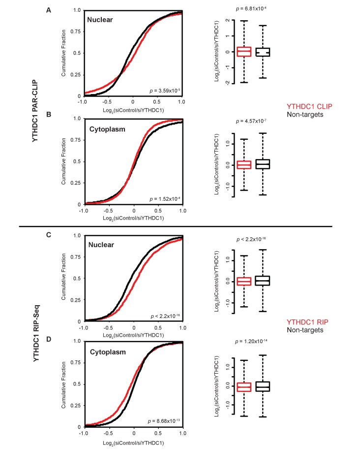 Figure 3—figure supplement 2.