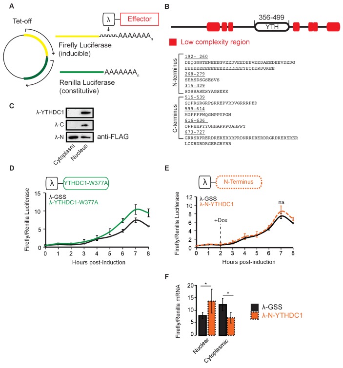 Figure 4—figure supplement 3.