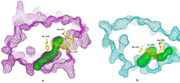 Figure 3.