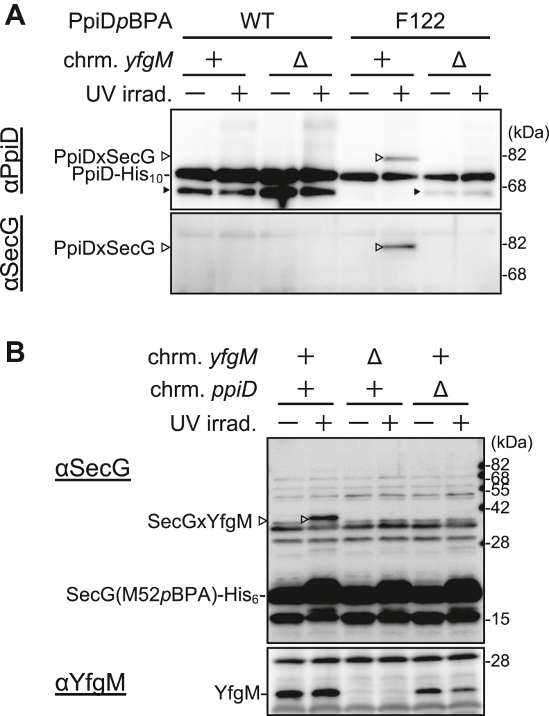 Figure 4