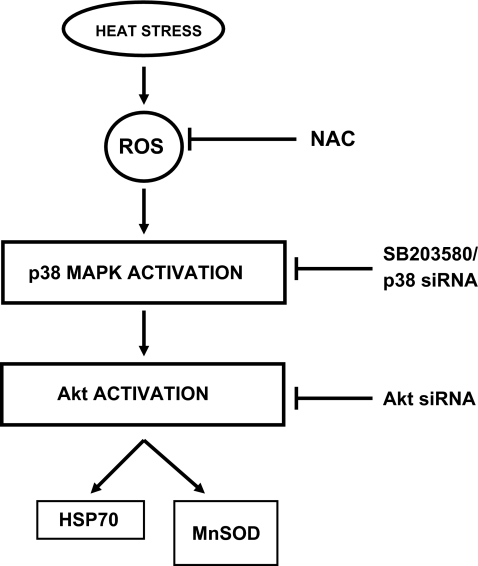 Fig. 6