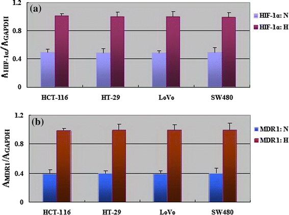 Fig. 6