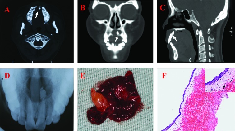 Figure 1.